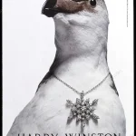Harry Winston Jewelry 2007 Print Ad - "Penguin"