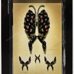 Rebeca Sanver Shoes 2006 Print Ad