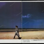 Brado Fourrures 1977 Print Ad - Guy Bourdin