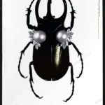 Harry Winston Jewelry 2008 Print Ad - "Beetle"