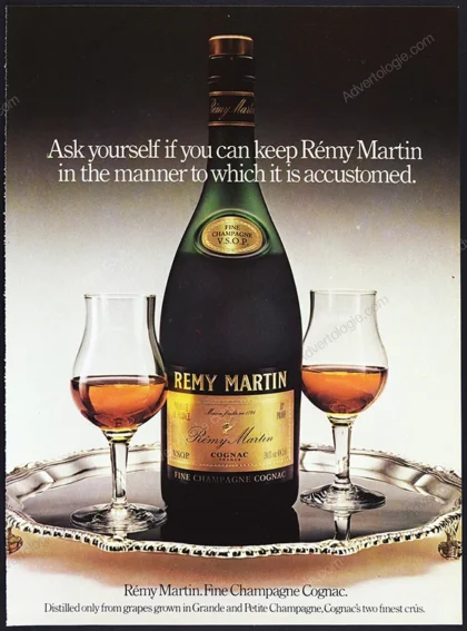 Remy Martin Cognac 1979 Print Ad