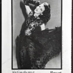 Yves Saint Laurent 1980 5-Page Advertorial - Dalma Callado