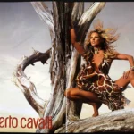 Roberto Cavalli 2006 4-Page Print Ad - Kate Moss