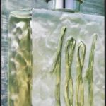 Cerruti 1881 Pour Homme Perfume 2001 Print Ad