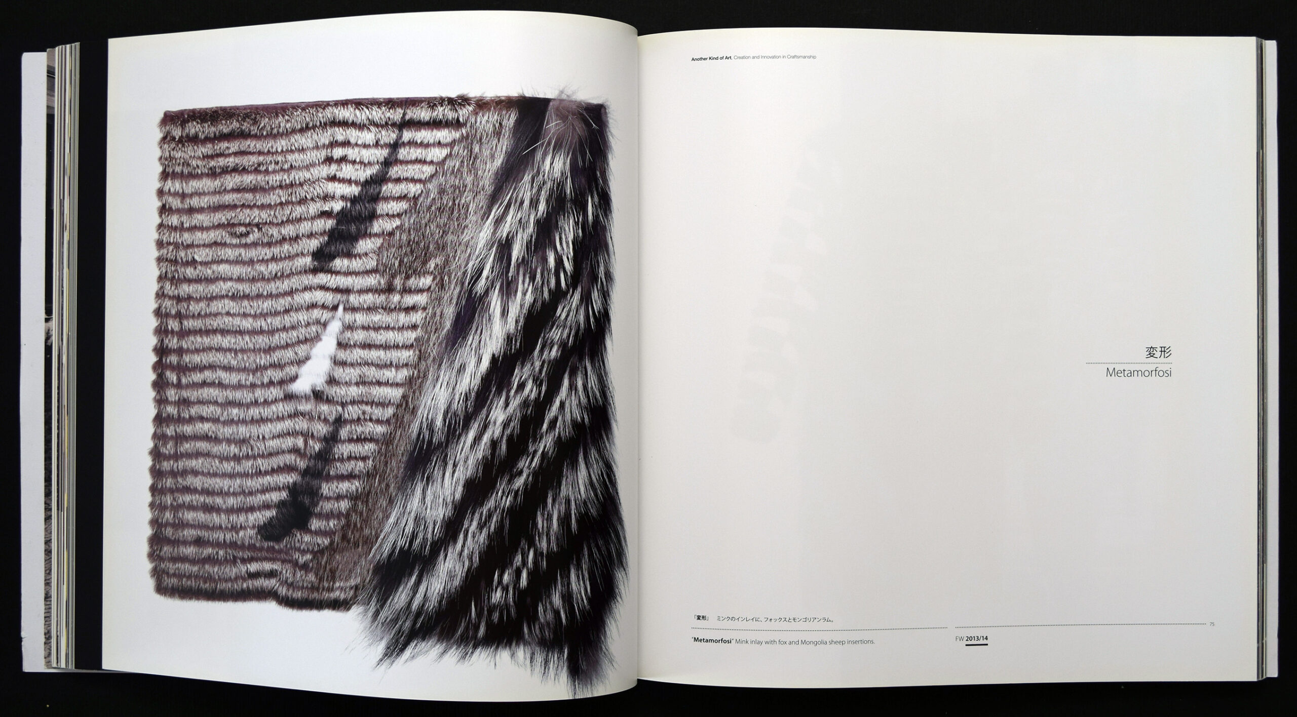 Fendi Un Art Autre 2013 Tokyo Exhibition Catalogue